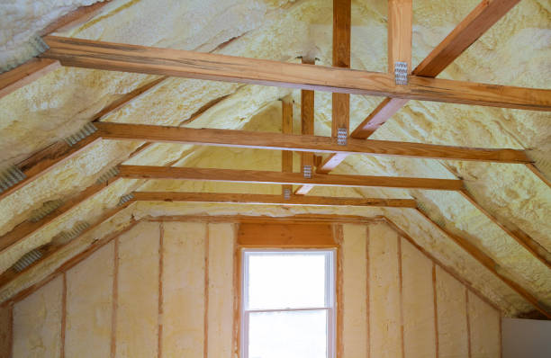 Best Energy-efficient Insulation  in Kapaa, HI