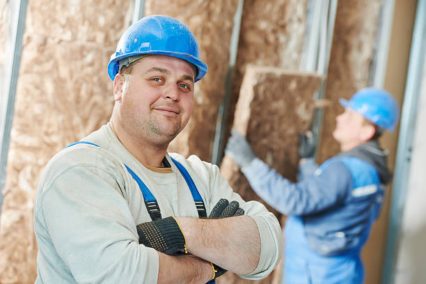 Best Energy-efficient Insulation  in Kapaa, HI